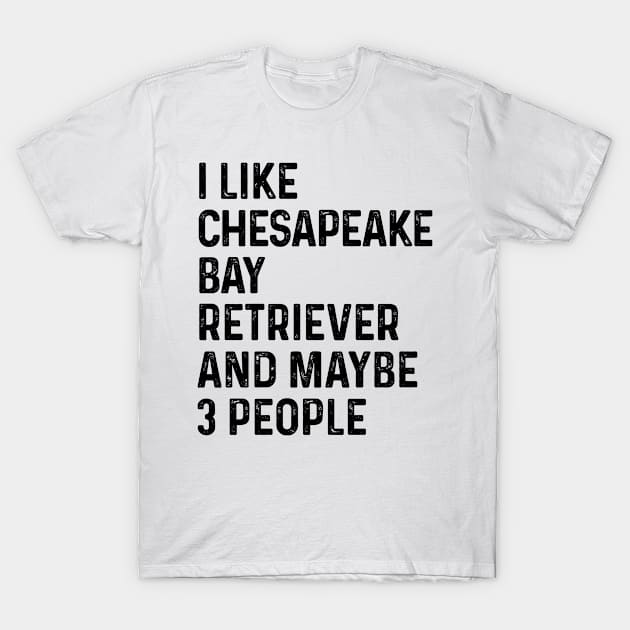 I Like Chesapeake Bay Retriever And Maybe 3 People Dog Lover T-Shirt by HeroGifts